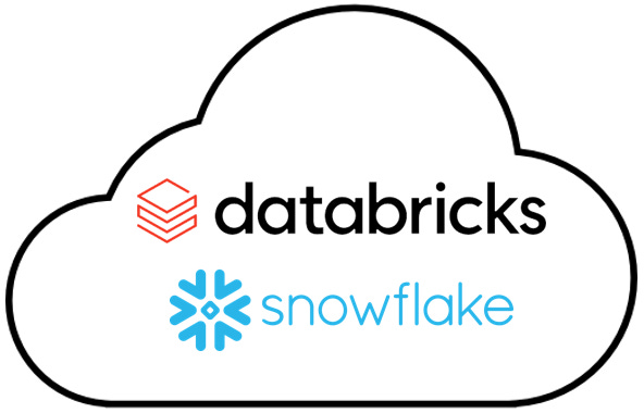 Databricks, snowflake